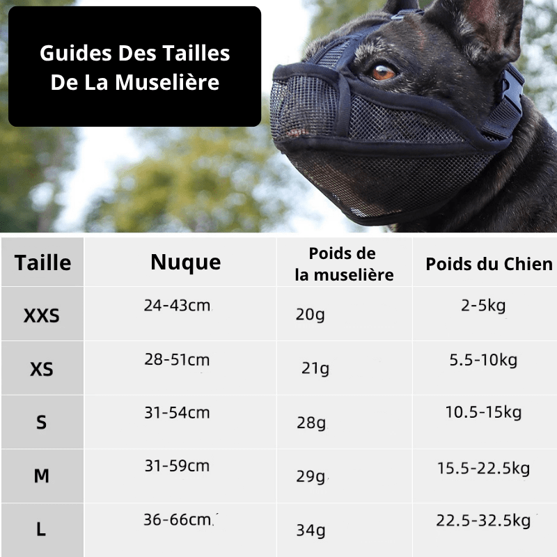 museliere bouledogue français guide des tailles