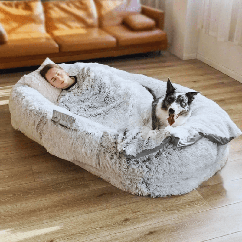 panier chien xxl salon personne dormant dedans avec son toutou