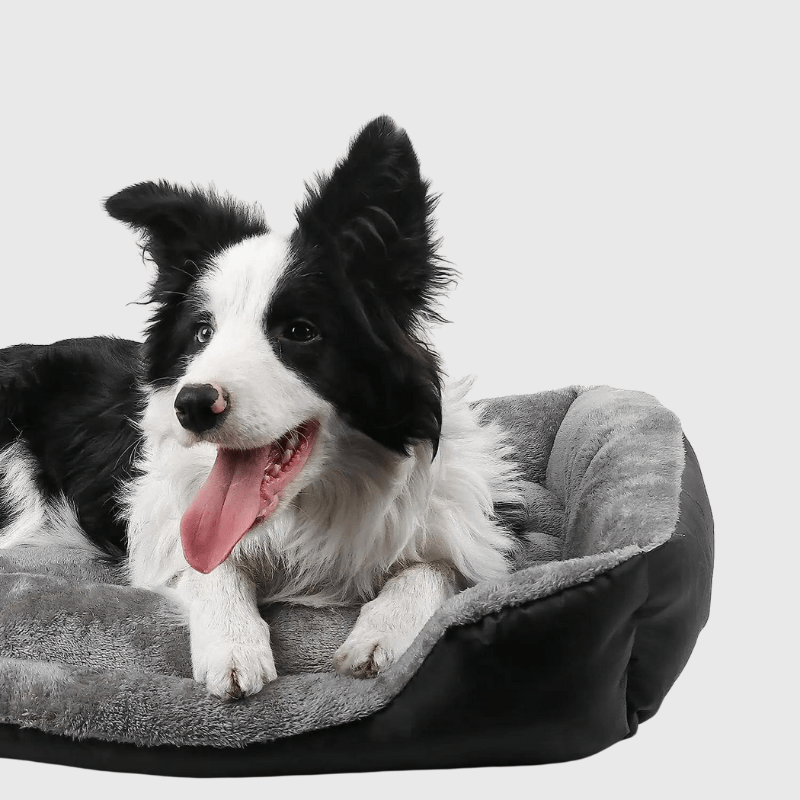 Pourquoi choisir ce panier de couchage pour chien ?