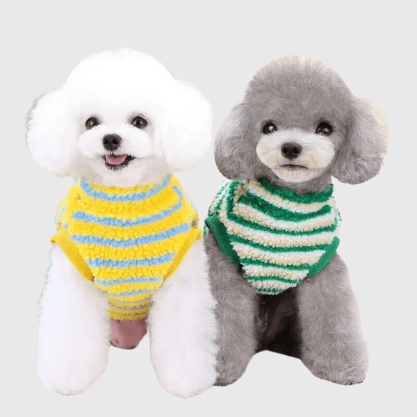 Pull pour grand chien