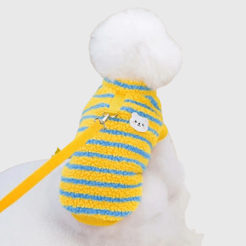 Pull pour gros chien sale