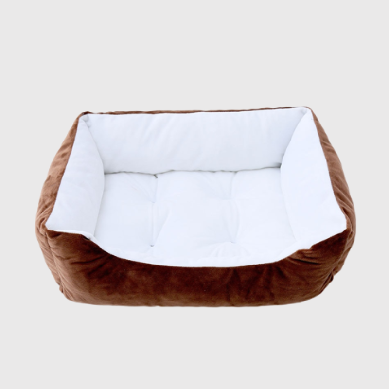 Canapé lit pour chien