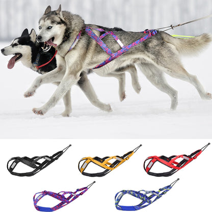Harnais course chien huskys